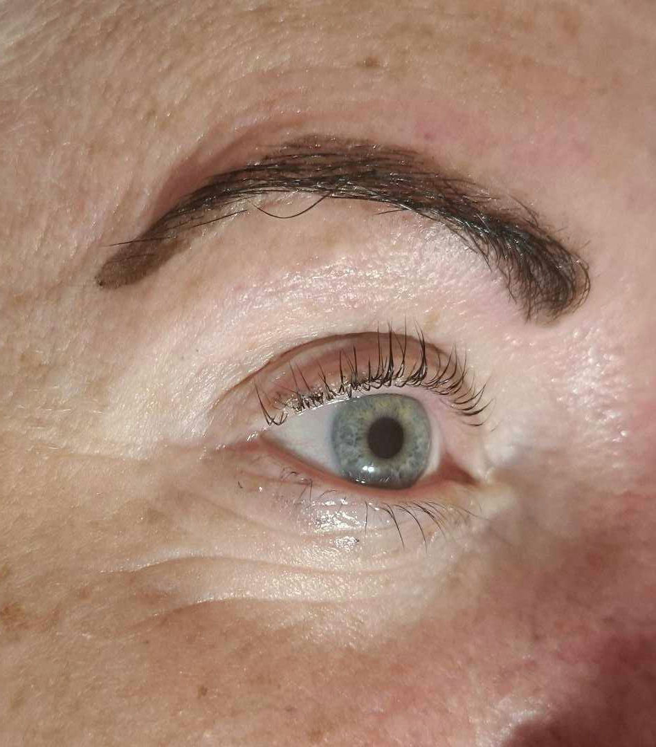7 Pairs Hybrid Lash Lift Shields – Complete Box