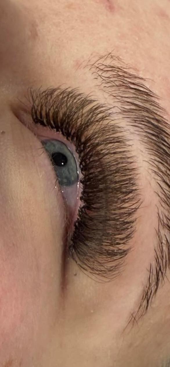 🤎 Brown 6D Clover Lashes 🤎 16 Rows • Single Length