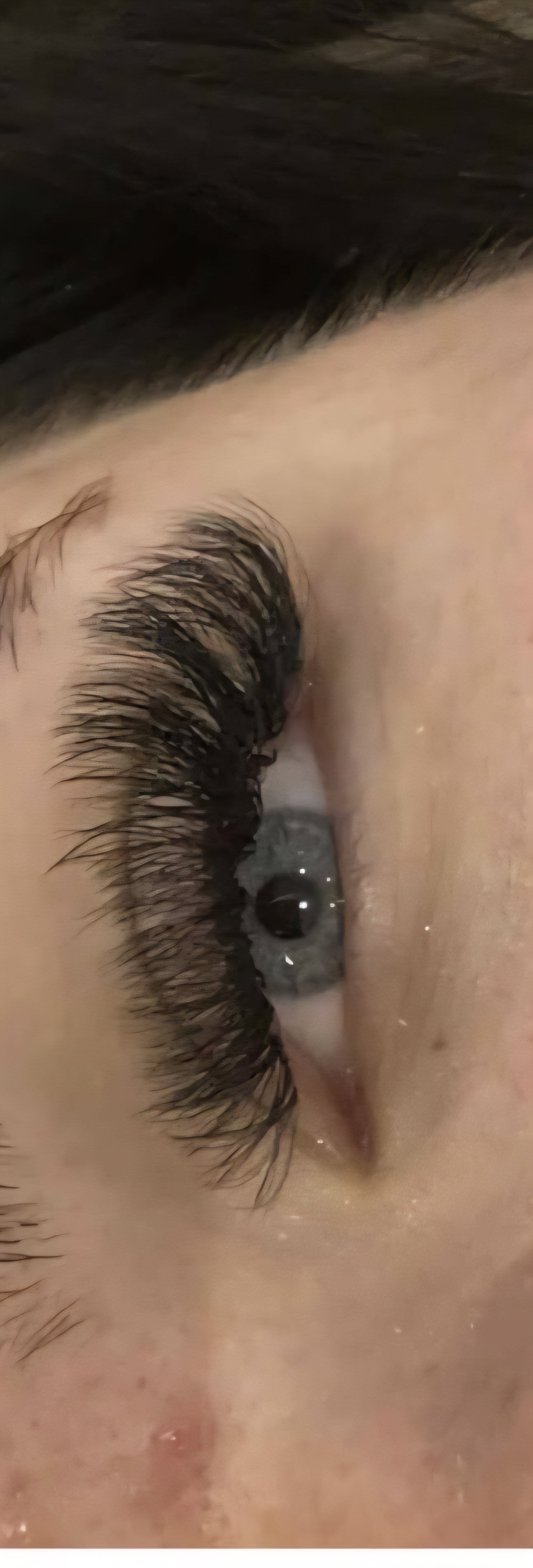 10D Clover Lashes