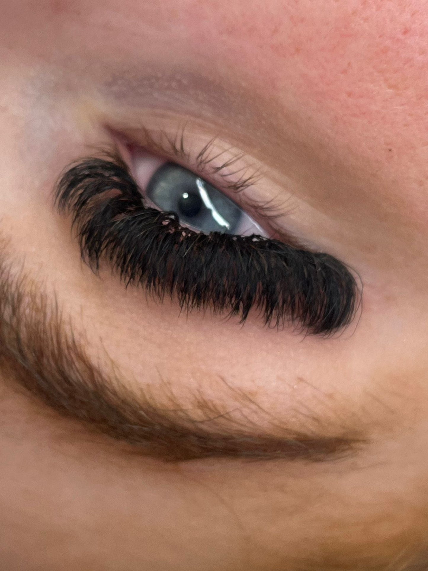 10D Clover Lashes