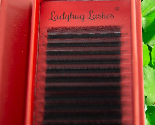 4D Clover Lashes – Mixed Tray (16 Rows)