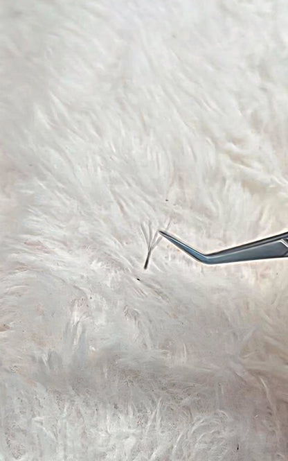 4D Clover Lash Extensions – 16 Rows, Single Length