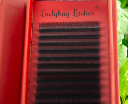 6D Clover Lashes – Mixed Tray (16 Rows)