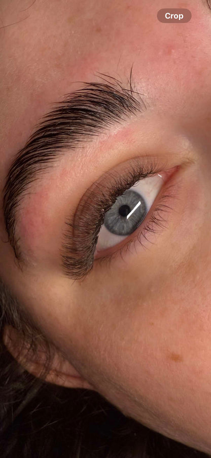 🤎 Brown 6D Clover Lashes 🤎 16 Rows • Single Length