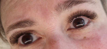 🤎 Brown Fairy Lashes – Mixed Tray 🤎