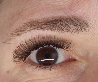 🤎 Brown Fairy Lashes – Mixed Tray 🤎