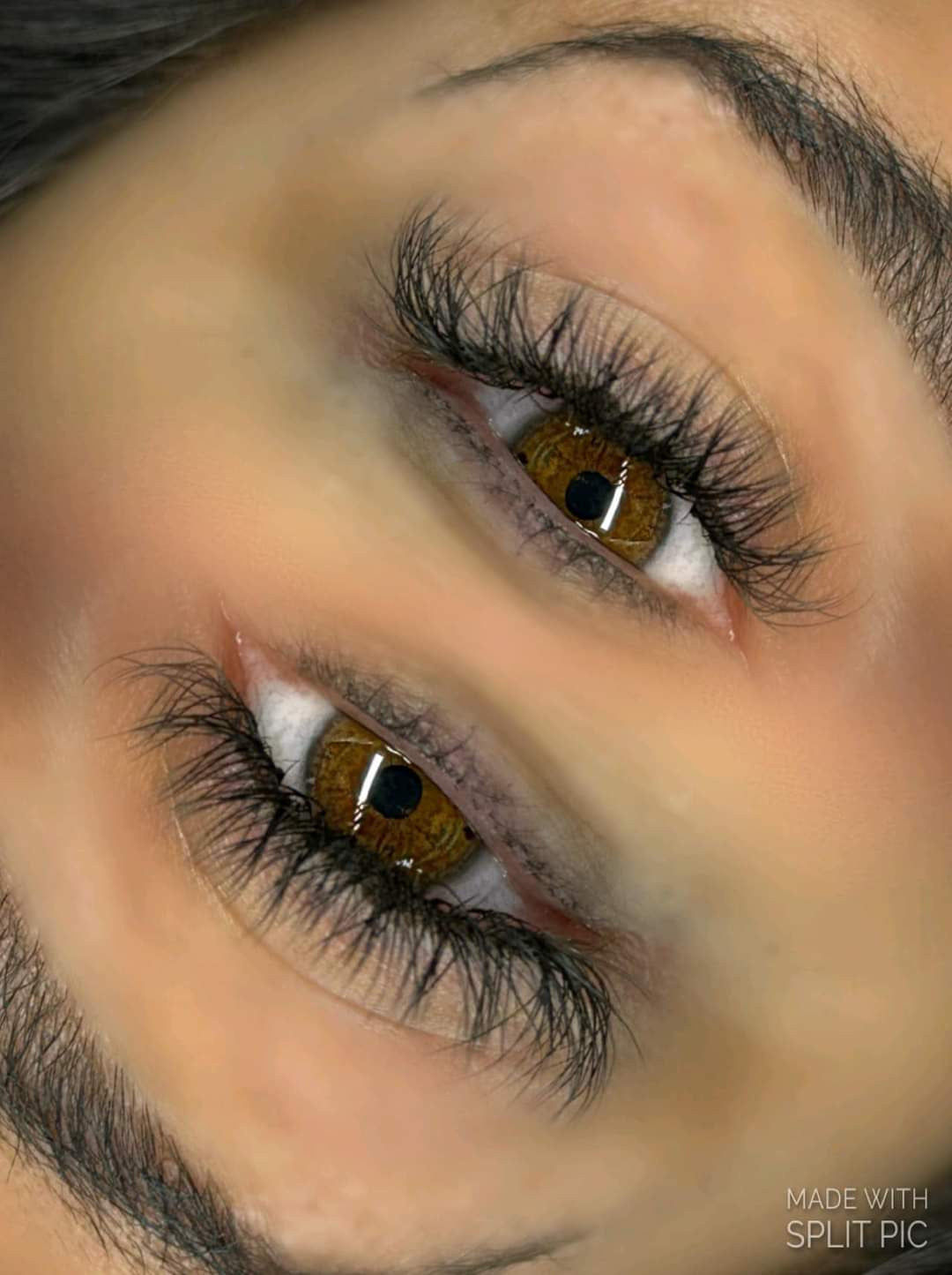 Mixed Length YY Lashes – 16 Row Tray