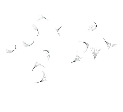 Loose Premade Fans – Mixed Box (3D–7D, C/CC/D Curl)