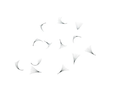 Loose Premade Fans – Mixed Box (3D–7D, C/CC/D Curl)