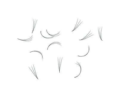 Loose Premade Fans – Mixed Box (3D–7D, C/CC/D Curl)