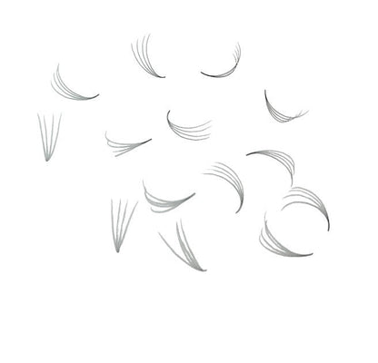Loose Premade Fans – Mixed Box (3D–7D, C/CC/D Curl)