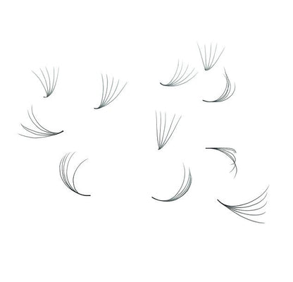 Loose Premade Fans – Mixed Box (3D–7D, C/CC/D Curl)