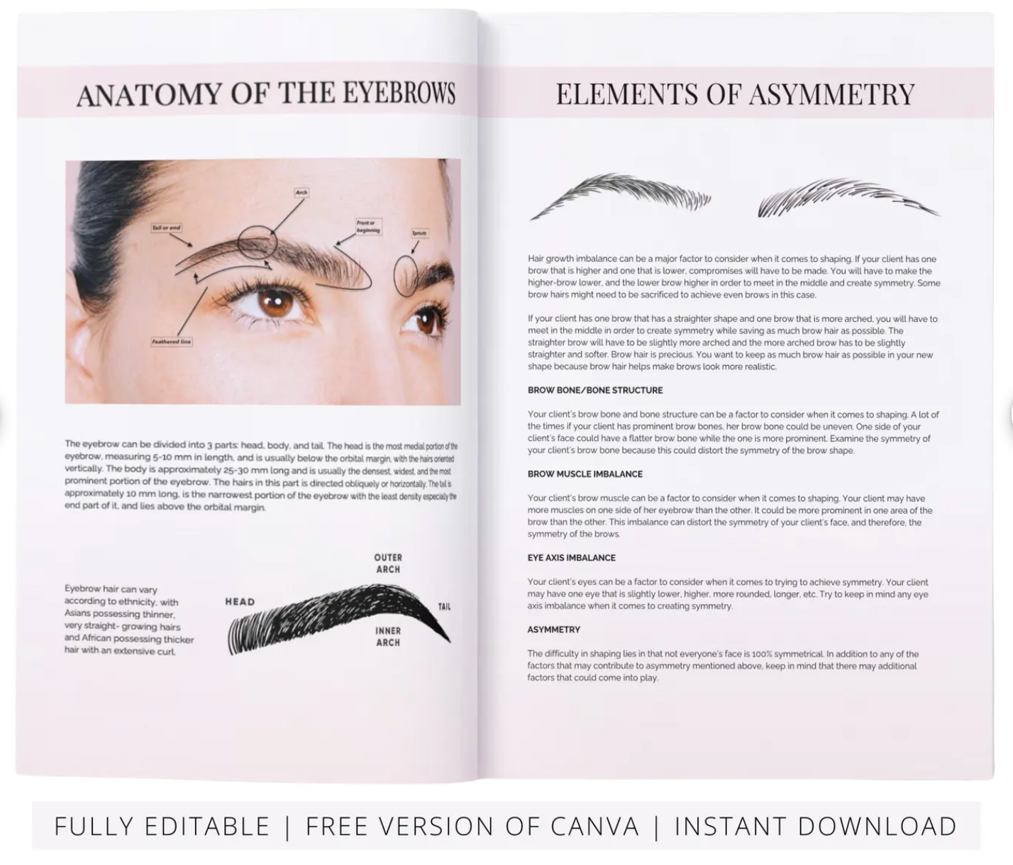 Eyebrow Mapping Course Editable Training Manual
