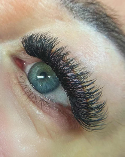 W Lashes Mixed Tray (16 Rows)