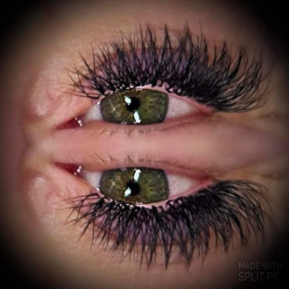 W Lashes Mixed Tray (16 Rows)