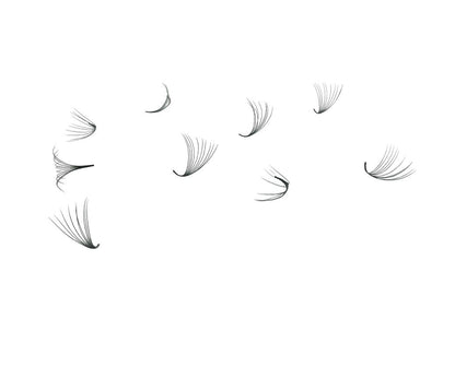 Loose Individual D Curl Promades – 8D to 20D Lash Extensions