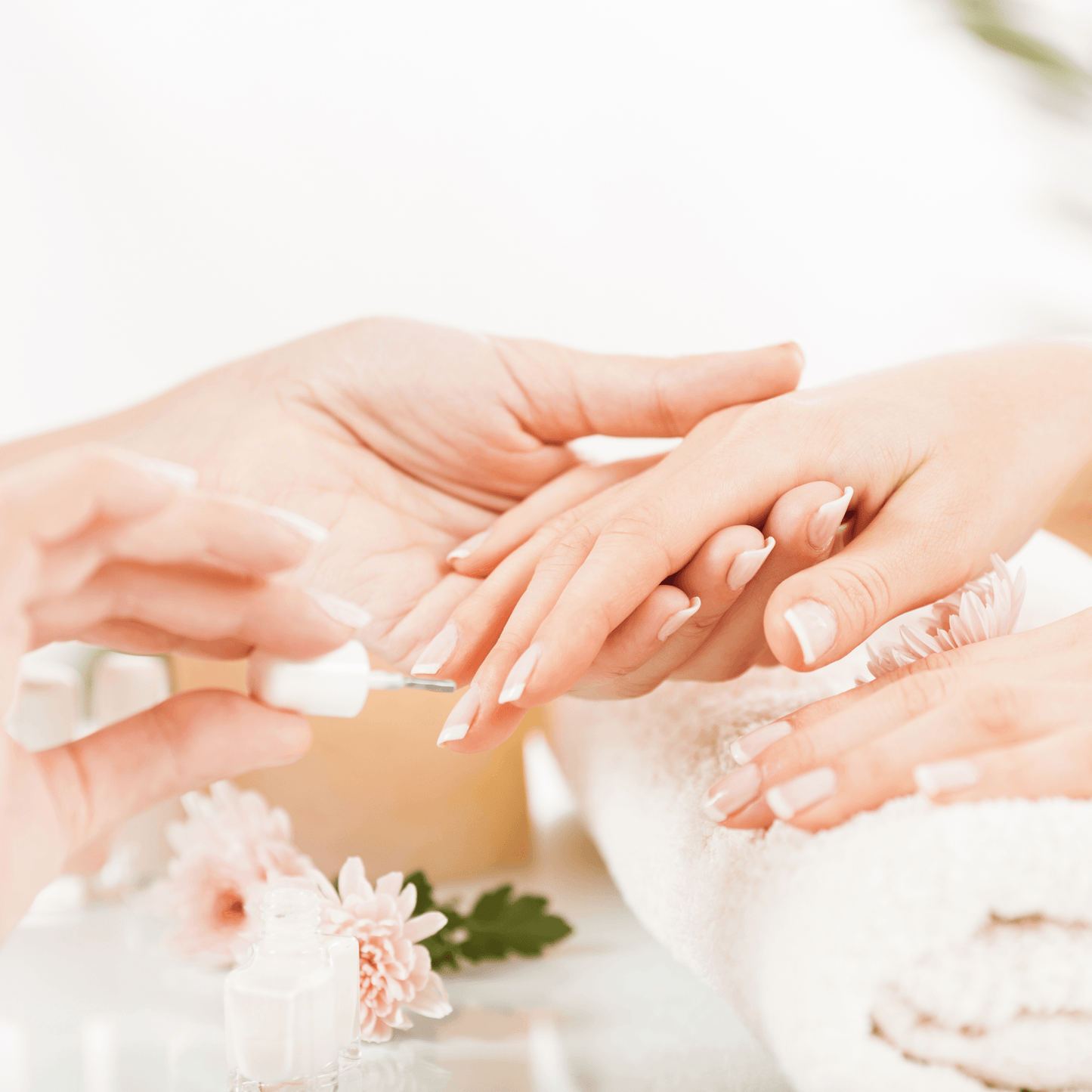 Manicures Course Editable Training Manual