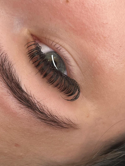 Pre-Made Angel Lash Fans – Mixed Lengths Tray
