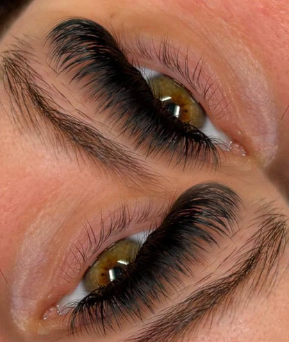 Platinum Velvet Volume Lashes – Mixed Tray (16 Rows)