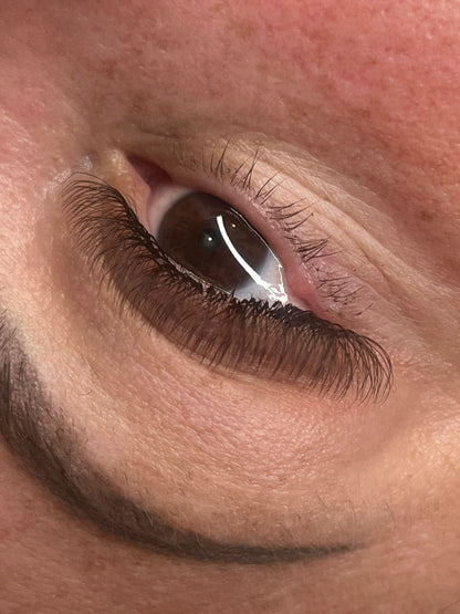 🤎 Brown 4D Clover Lashes 🤎 16 Rows • Single Length