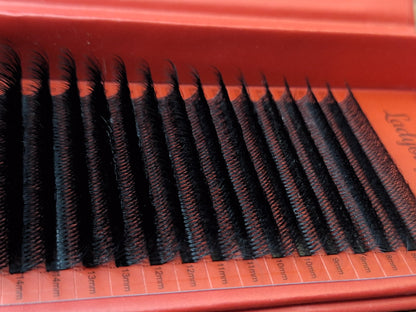 10D Clover Lashes