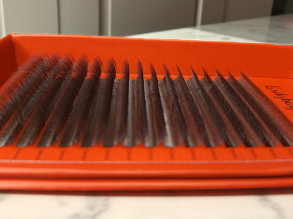 🤎 Brown 4D Clover Lashes 🤎 16 Rows • Single Length